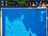Stefania Beach - obrázek č. 4